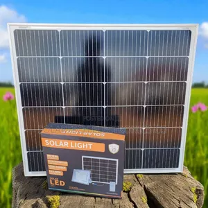 Wawa 500w Solar Flood Light – Monocrystalline Panel