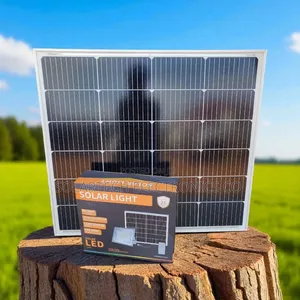 500w Wawa Blue Carbon Solar Led Flood Light