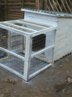 Dog Kennel With Playing Space
