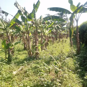 2 Acres for Sale Located at Mukono Kisoga