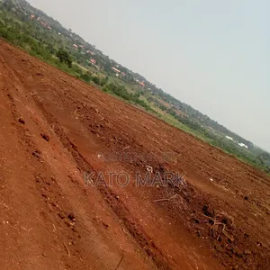 Prime Plots for Sale Located at Mukono Nsabwe