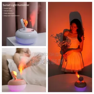2-in-1 Sunset Light Humidifier.