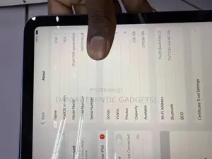 Apple iPad (2022) 256 GB Blue