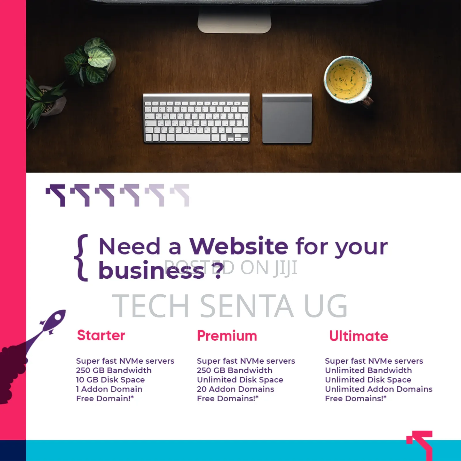 Web Development