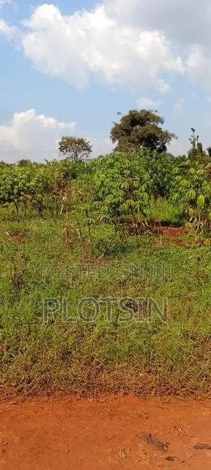 5 Acres Of Land – Balawoli Trading Centre, Kamuli District