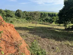 Land in Mukono