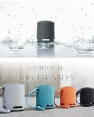 Sony SRS Xb100 Portable Bluetooth Speaker