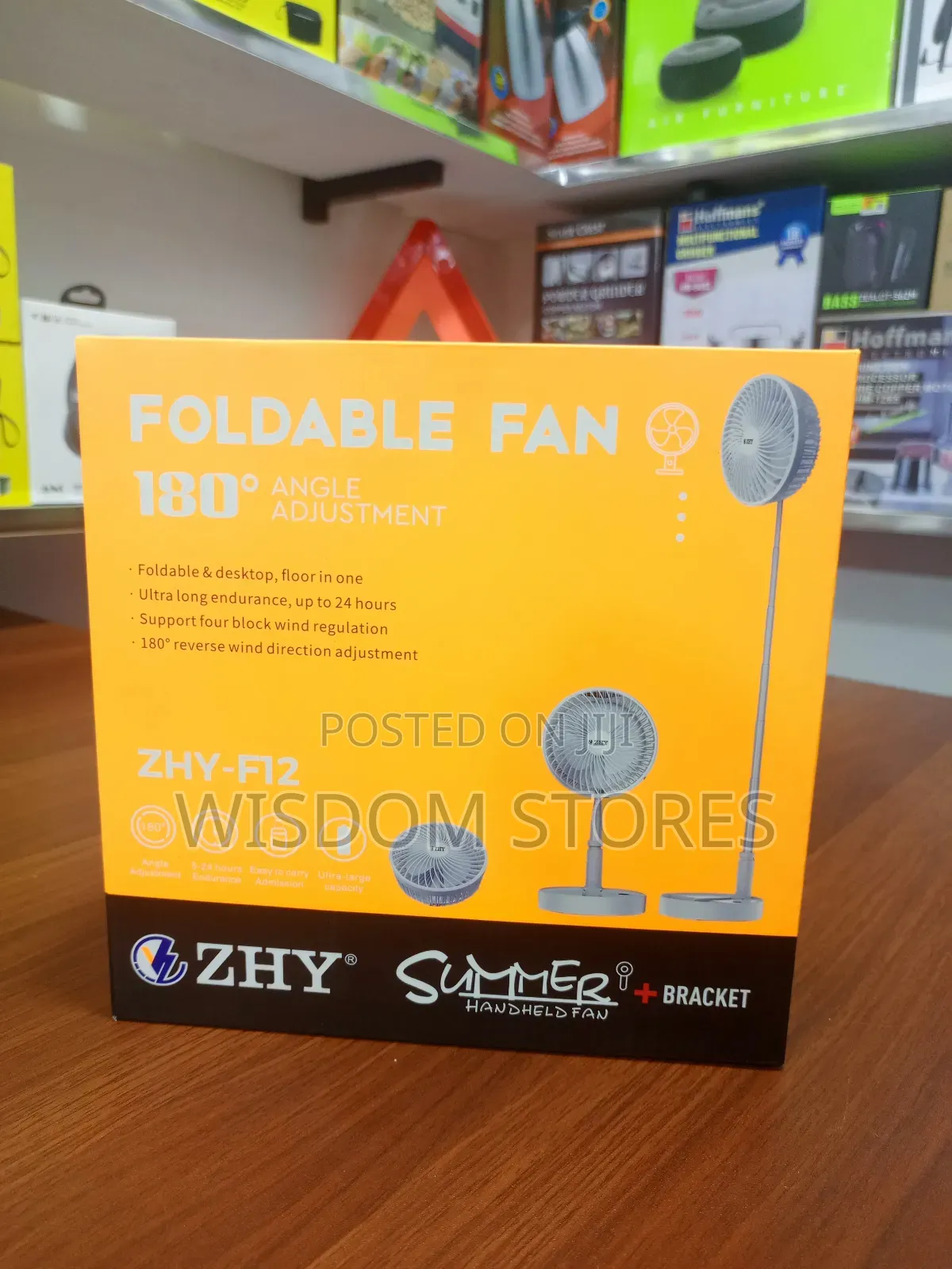 Foldable Fan.