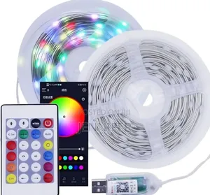 Multi Coloured Outdoor Rope Lights