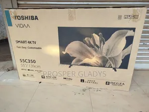 Toshiba 55 Smart Vida Digital Flat Screen Flameless.