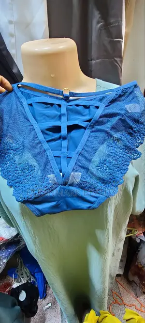 Designers Women Net Wear