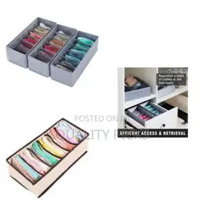 2pcs Cloth Organizers With Partitions