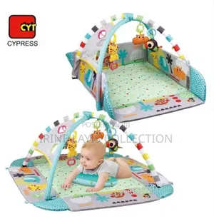 5-in-1 Baby Activity Gym and Ball Pit.