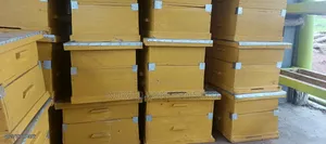 Langstroth Bee Hives
