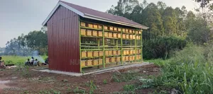 Apiary Construction [Bee House]