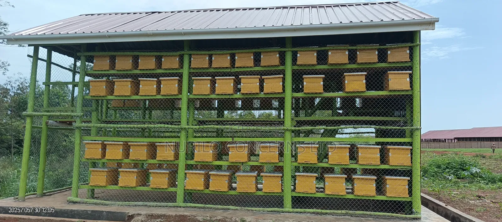 Apiary Construction [Bee House]