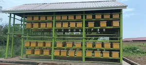 Apiary Construction [Bee House]
