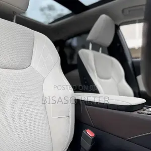 Lexus RX 450h+ Luxury AWD 2024 Black