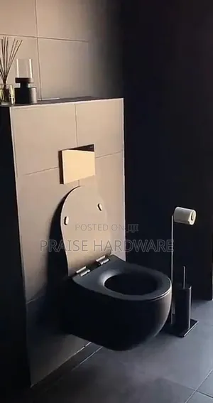 Black Wall Hug Toilet