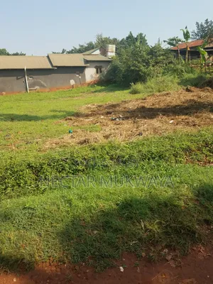 New Land Near Ucu Mukono
