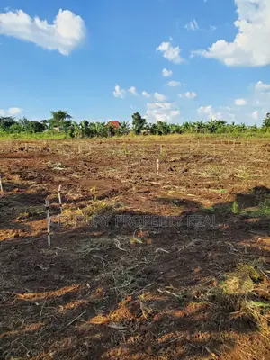 Land For Sale In Mukono Nakifuma