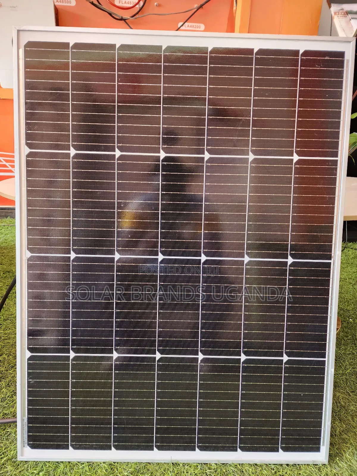 Solar Street Light