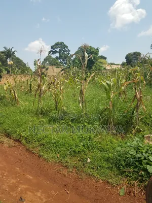 Land Near Ucu Half Accre