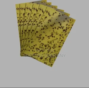 Flying Insects Traps 10pcs