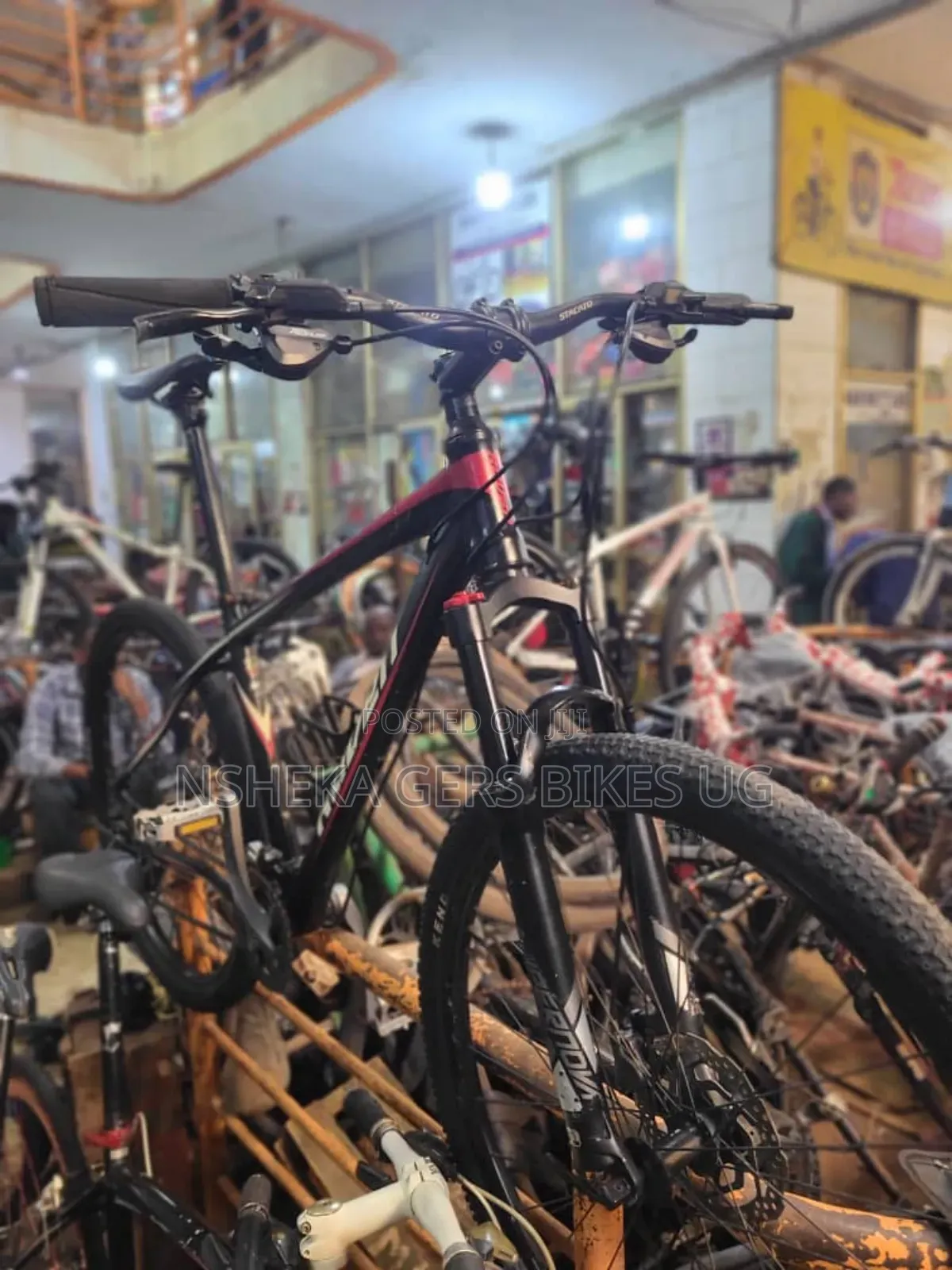Mountain Bike