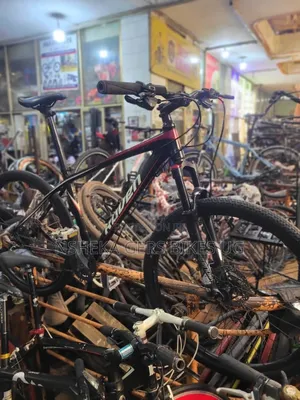 Mountain Bike
