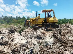 Bulldozer Hire Services