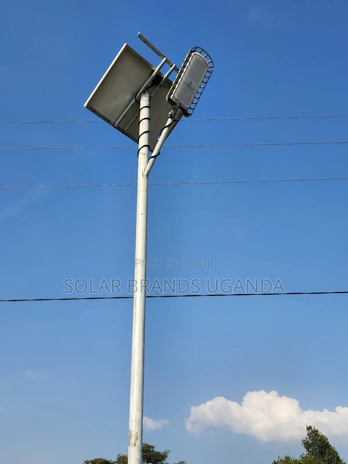 Solar Street Light