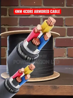 4mm Total 4core Pure Copper Armored Underground Cable