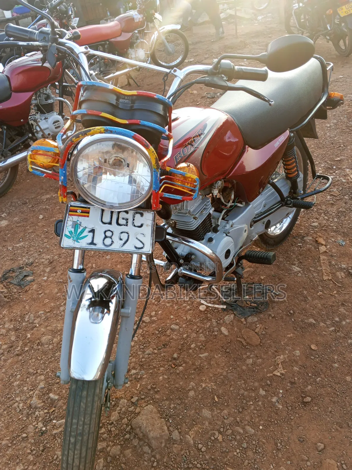 Bajaj Boxer 100 2024 Red