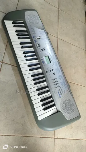 Casio CTK-230 49-Key Portable Electronic Keyboard.