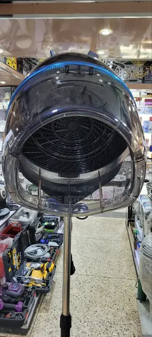 Professional Hooded Hair Dryer