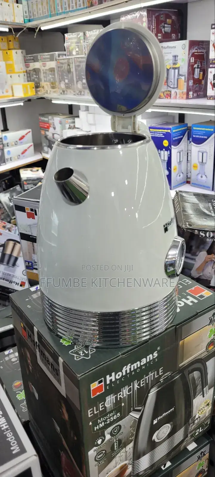 Electric Kettle Hoffman