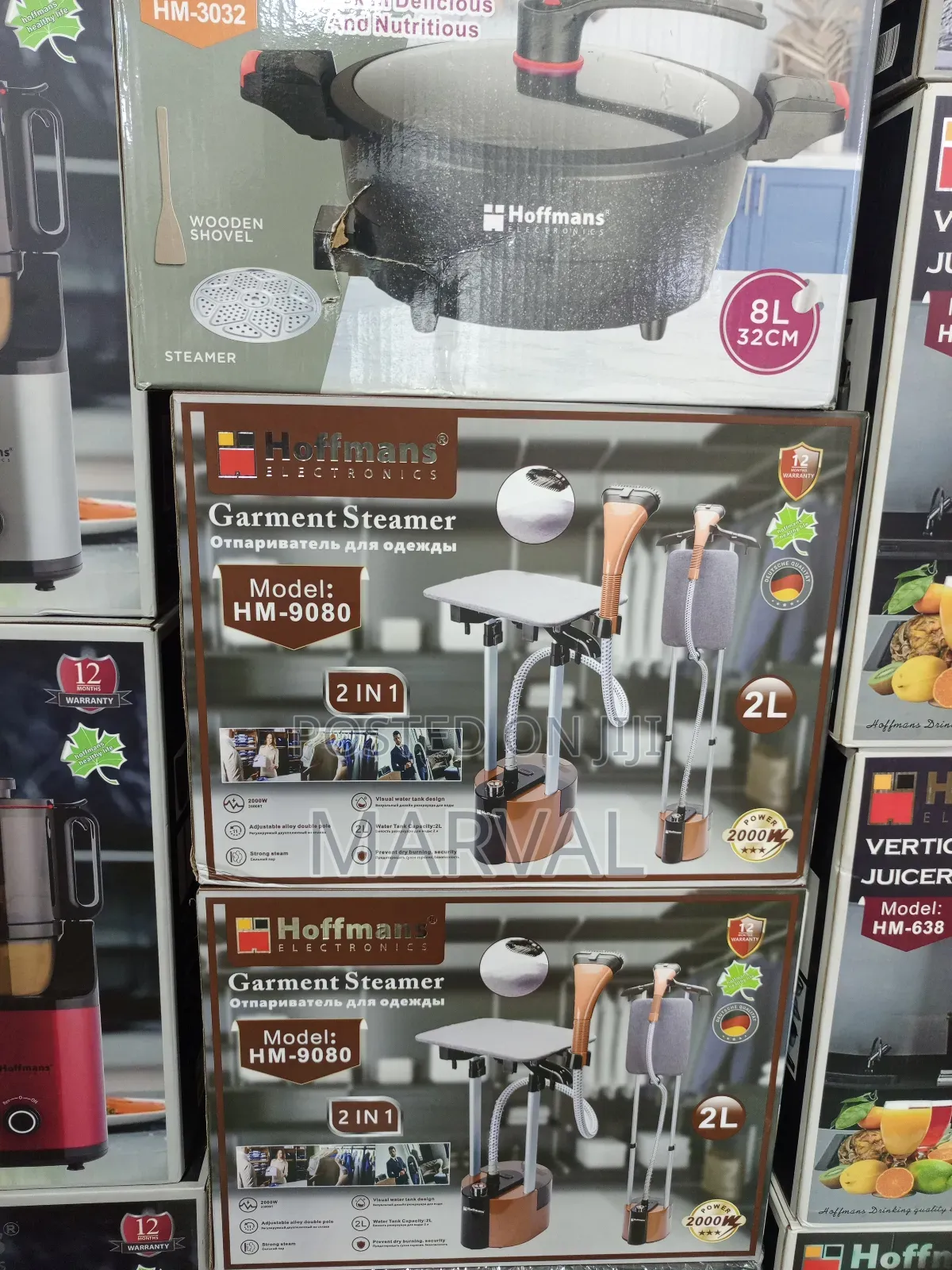 2-in-1 Garment Steamer.