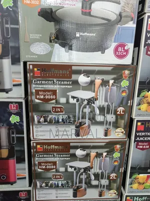 2-in-1 Garment Steamer.