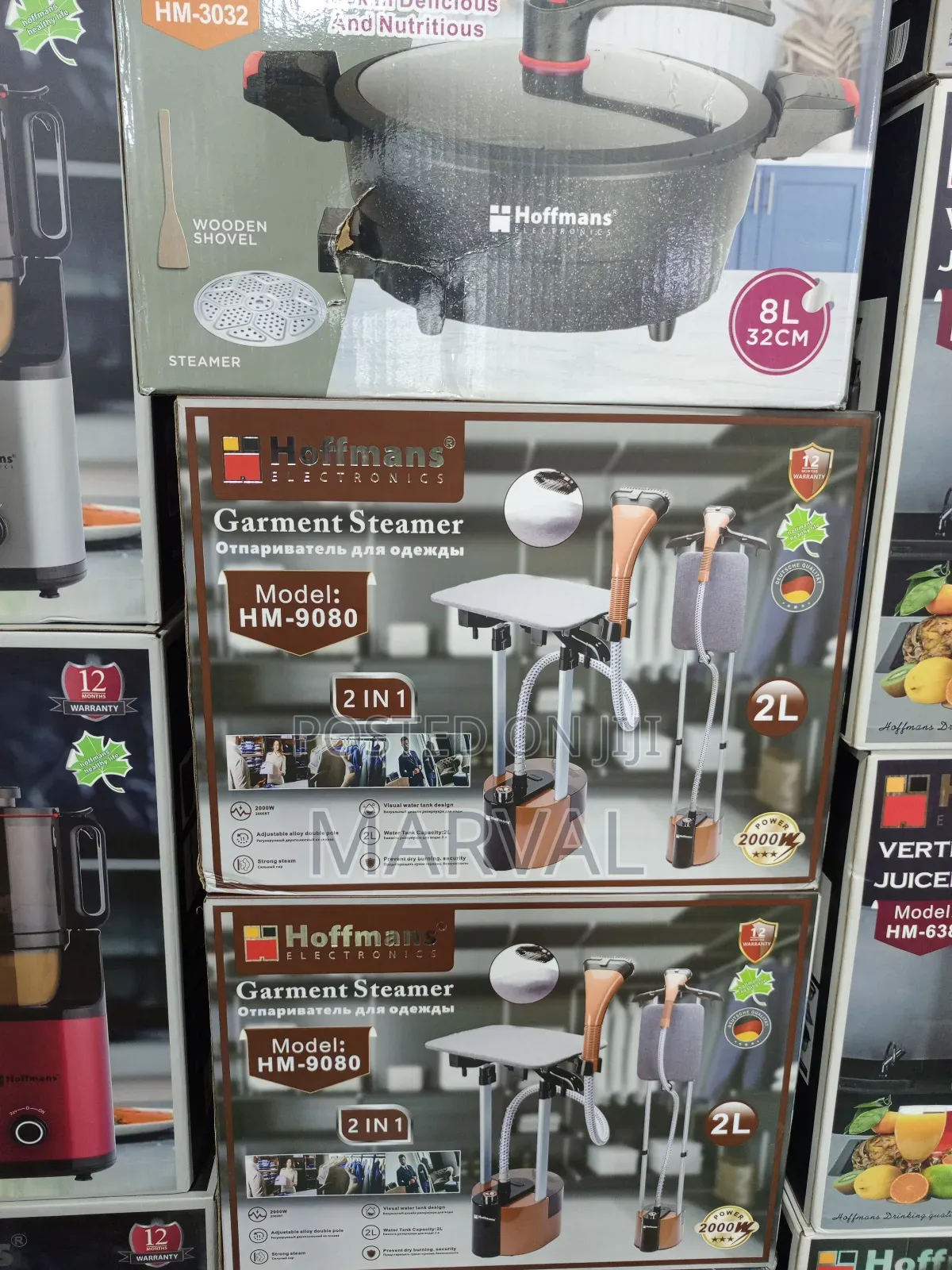 2-in-1 Garment Steamer.
