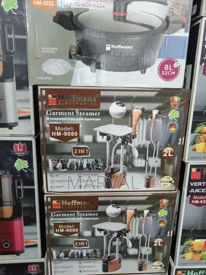 2-in-1 Garment Steamer.