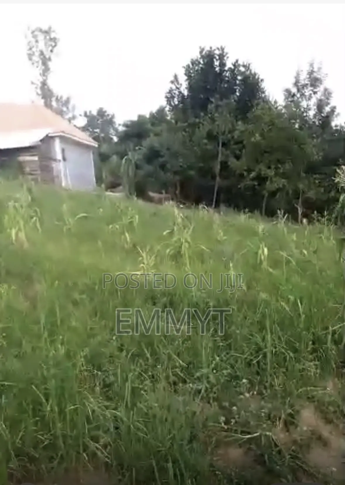 Plot for Sale