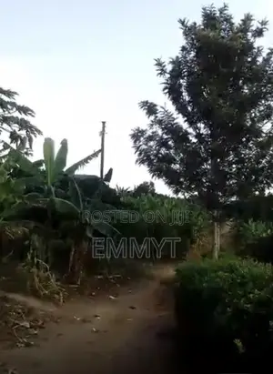 Plot for Sale