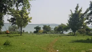 50 Decimals With Lake View on Quicksale in Heart of Kasanje Nakiwogo