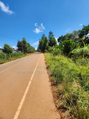 45 Decimals Forcedsale Measuring Direct From Tarmac on Namulanda Janyi