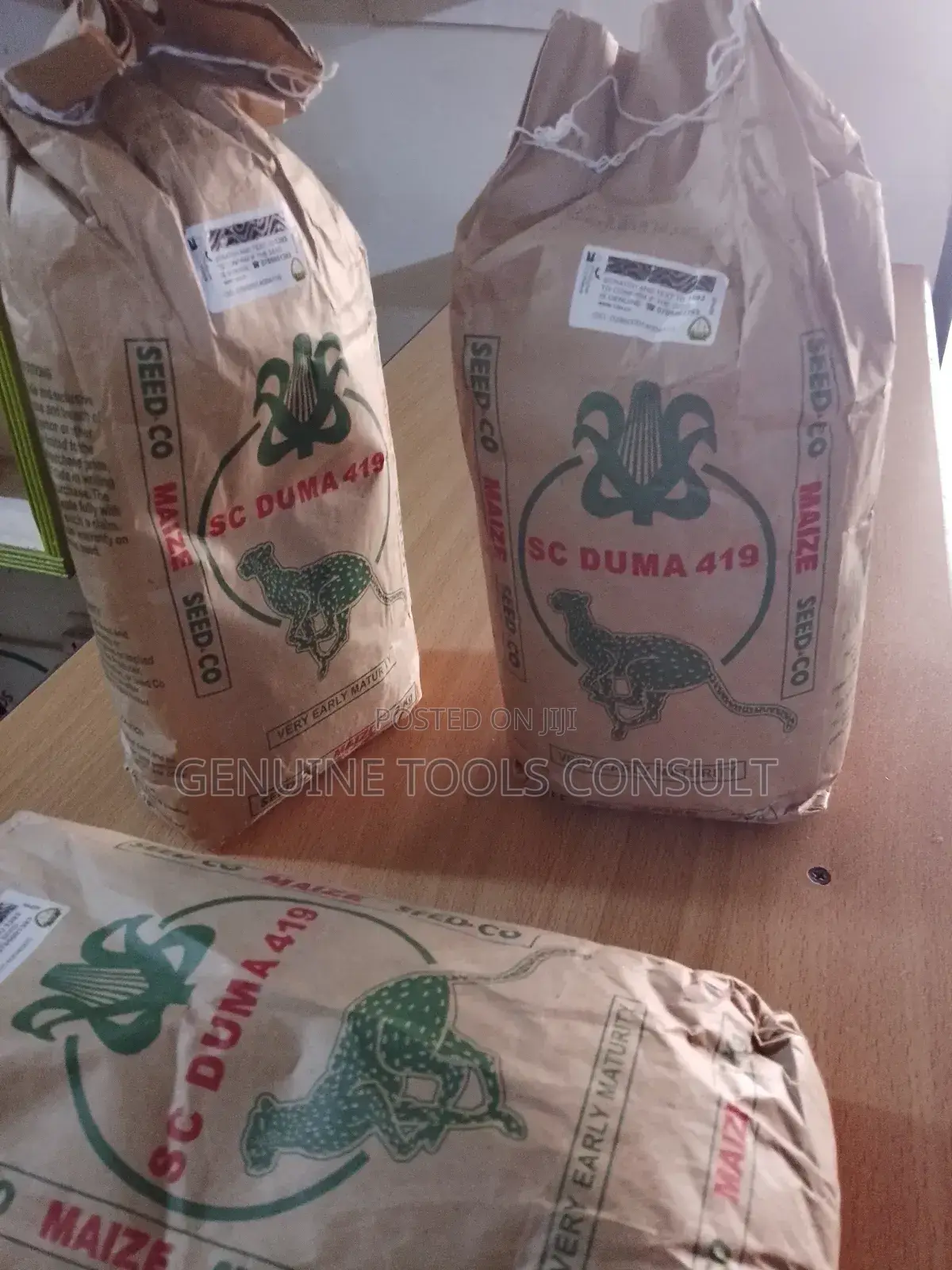 Maize Seeds