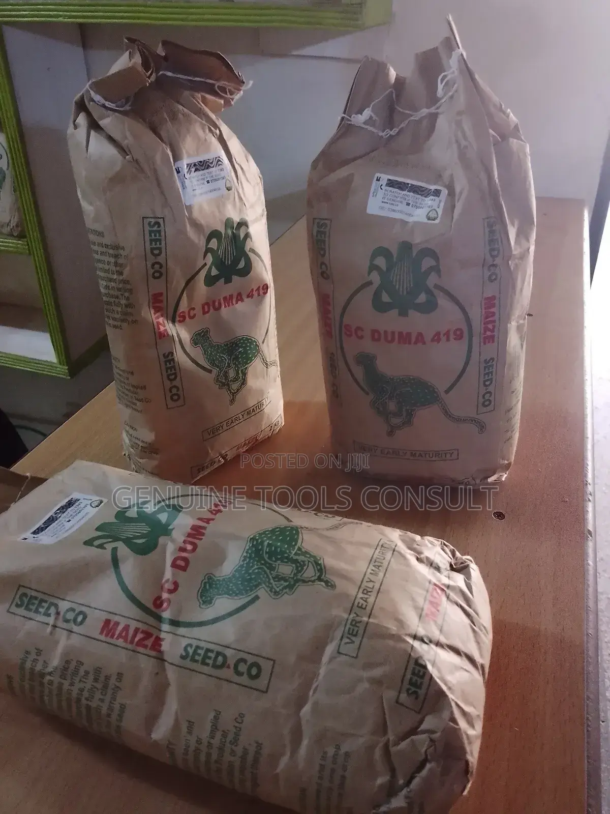 Maize Seeds