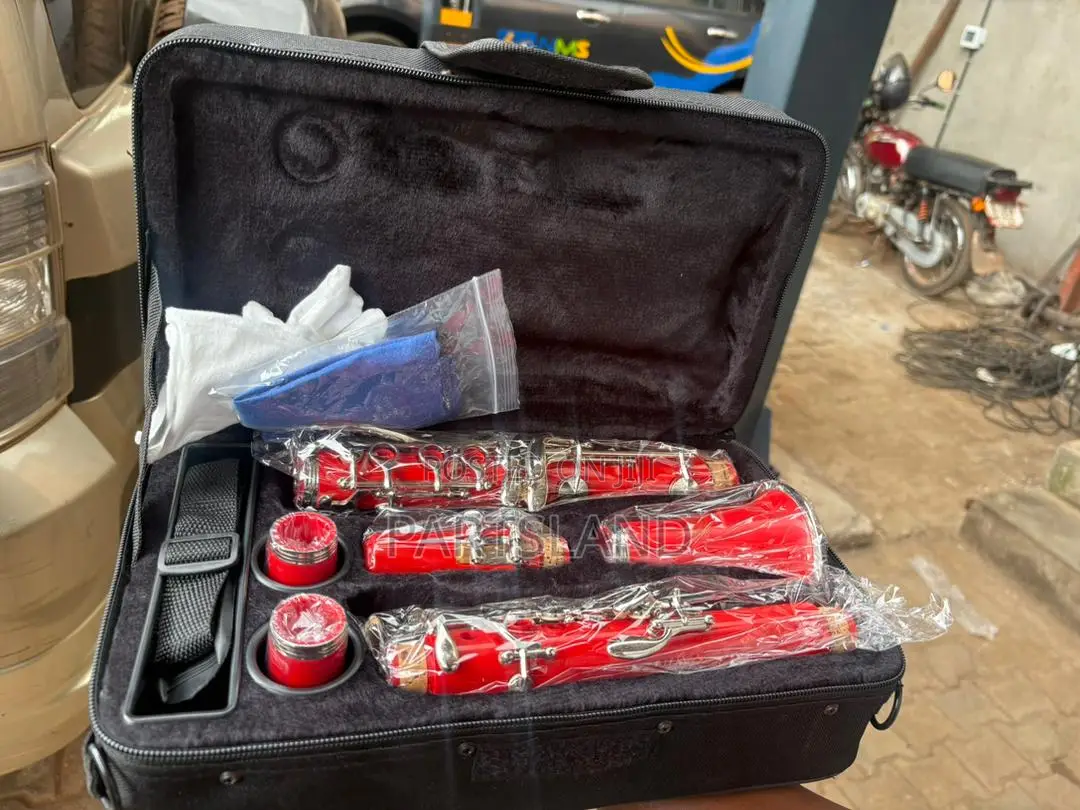 Professional Clarinet
