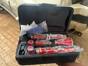 Professional Clarinet