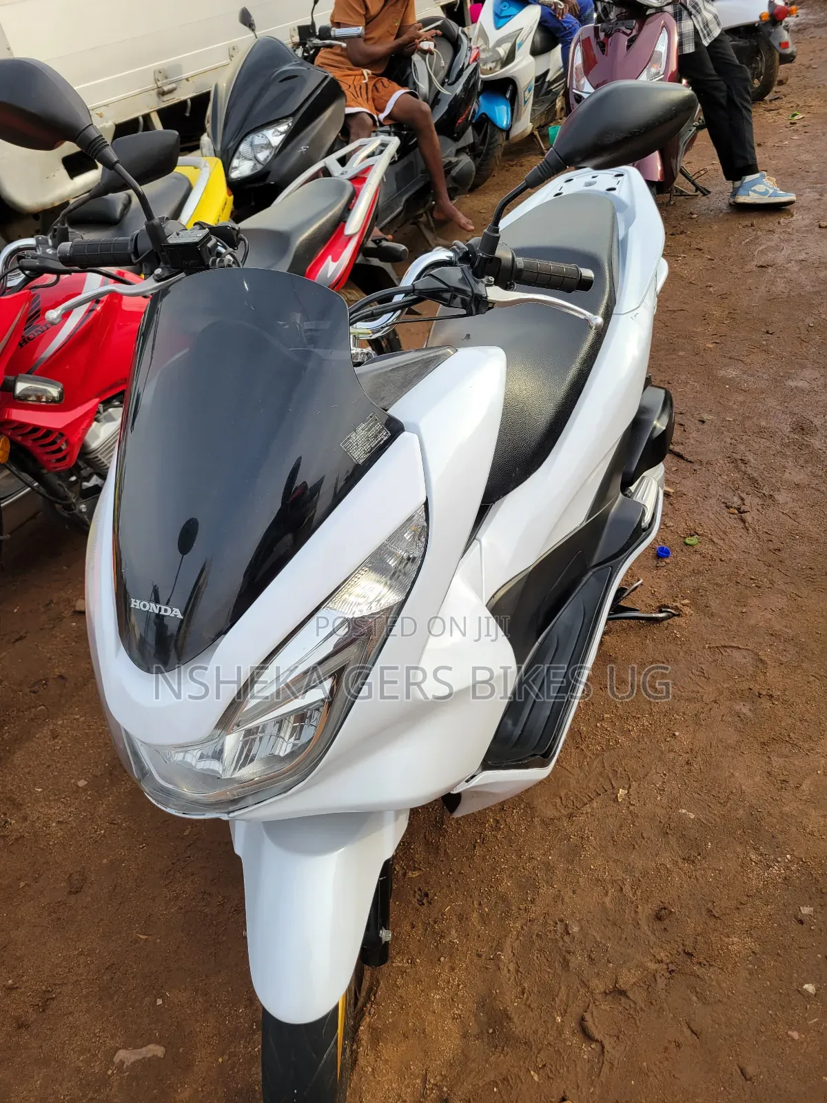 Honda 2017 White